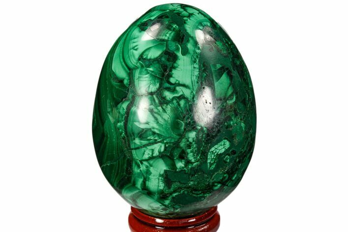 Polished Malachite Egg - Congo #106245
